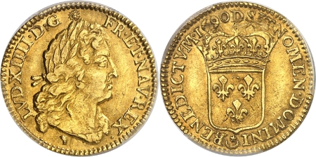 Louis XIV (1643-1715) - 1/2 louis d'or à la perruque hybride - 1690 D Lyon - Réformation